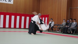MVI_9339 - frame at 3m14s.jpg