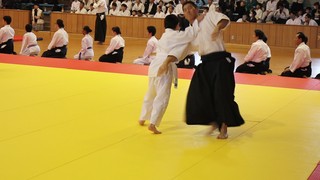MVI_9353 - frame at 0m42s.jpg