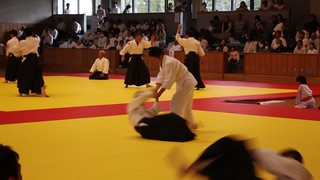 MVI_9353 - frame at 1m13s.jpg