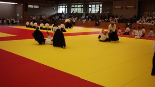 MVI_9356 - frame at 0m42s.jpg