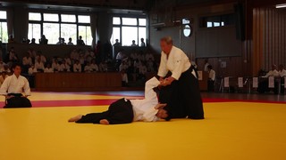 MVI_9358 - frame at 1m27s.jpg
